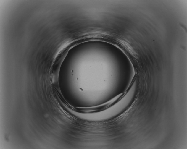 X0000091861164200709121324