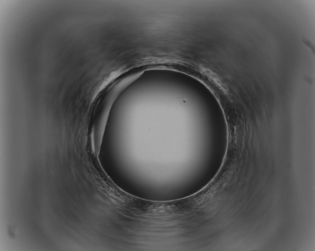 X0000091861165200709121324