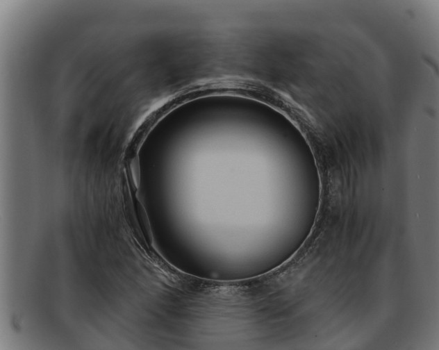 X0000091861166200709121324