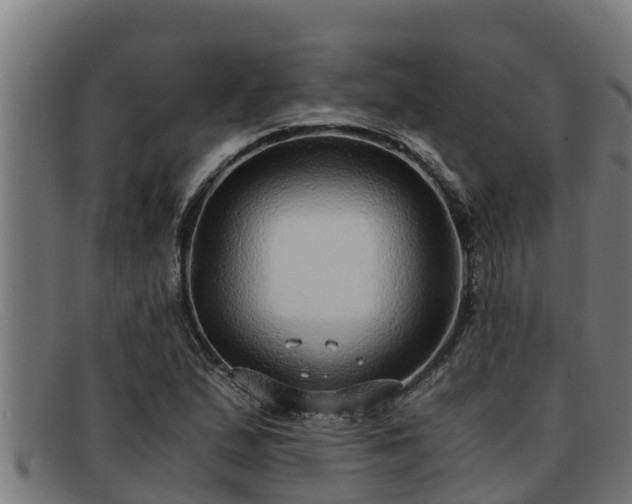 X0000091861167200709121324