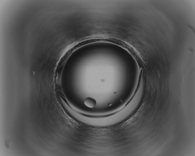 X0000091861168200709121324