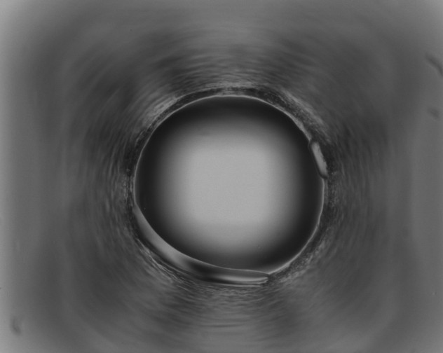 X0000091861169200709121324