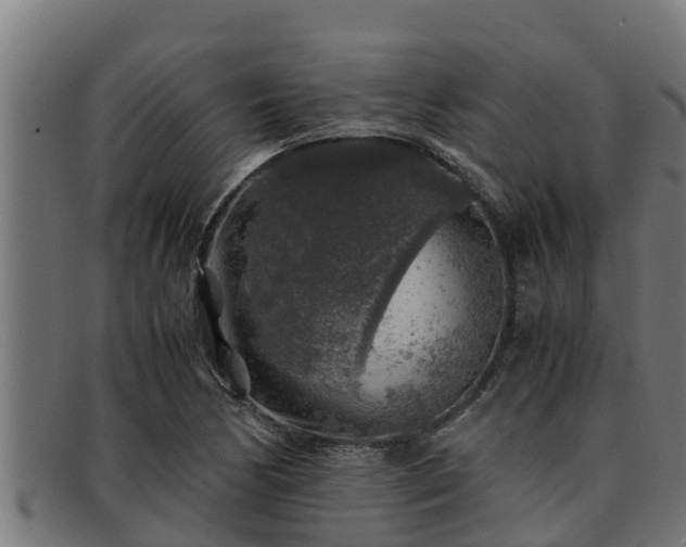 X0000091861170200709121324