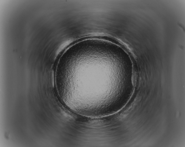 X0000091861171200709121324