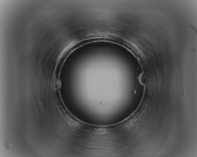 X0000091861172200709121324