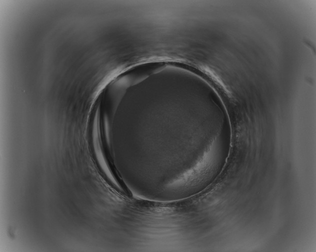 X0000091861173200709121324