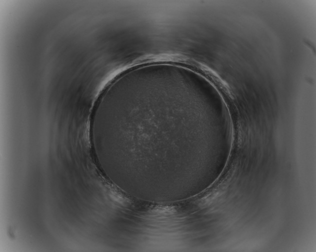 X0000091861174200709121324