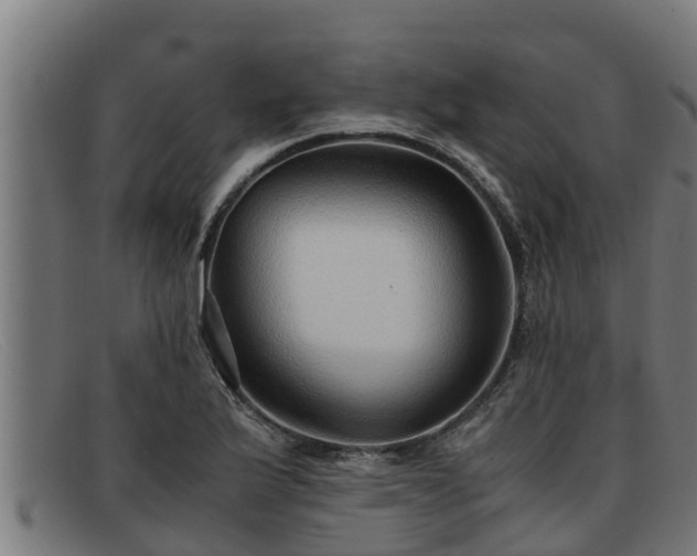 X0000091861175200709121324