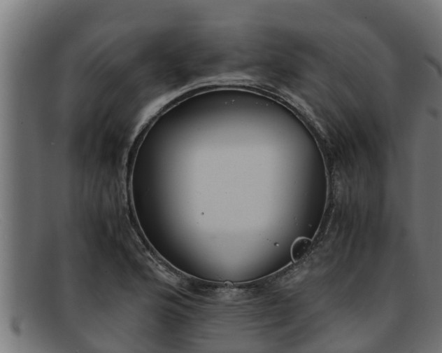 X0000091861176200709121324