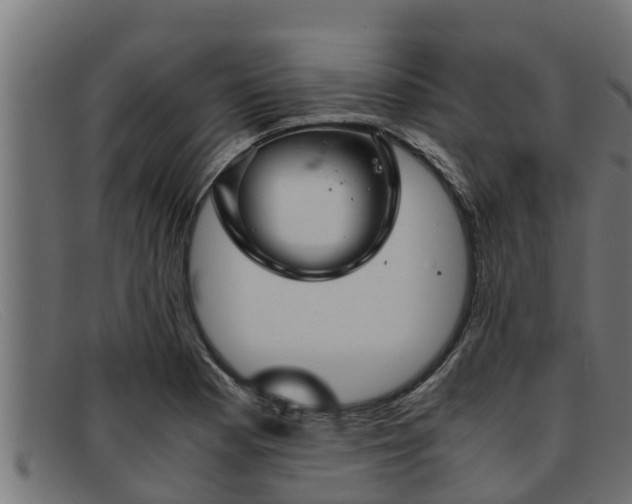 X0000091861177200709121324