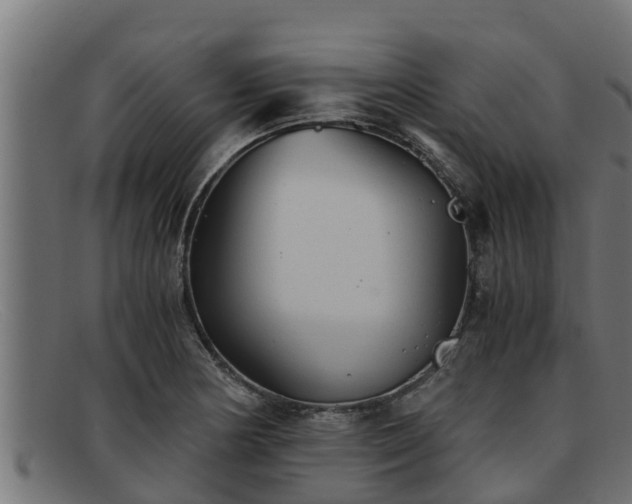 X0000091861178200709121324