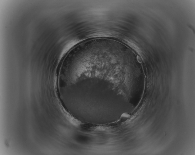 X0000091861179200709121324