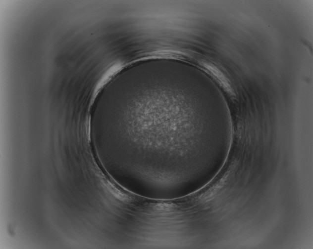 X0000091861180200709121324