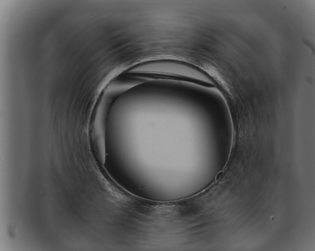 X0000091861181200709121324