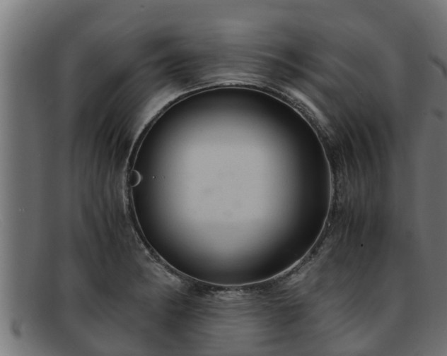 X0000091861182200709121324