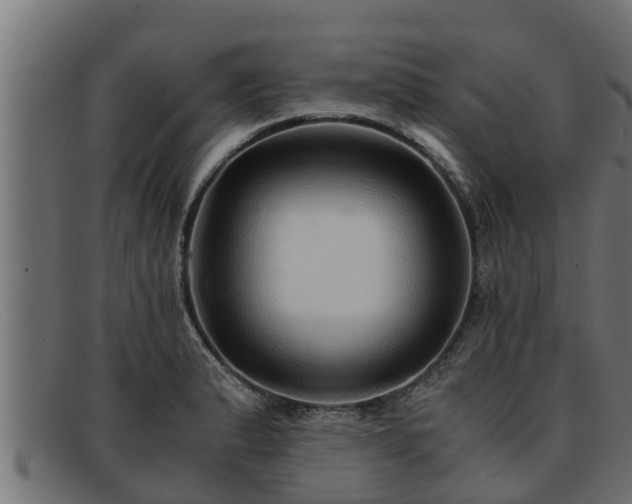 X0000091861183200709121324