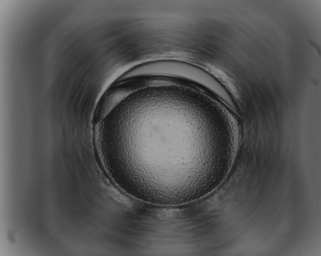 X0000091861184200709121324