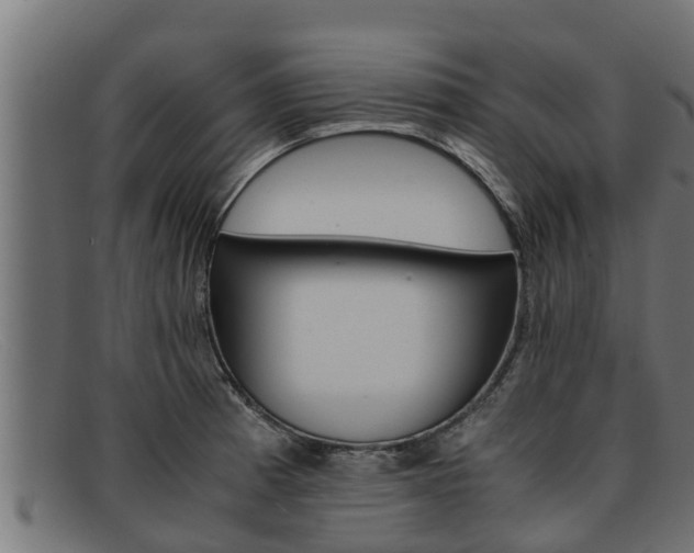 X0000091861185200709121324