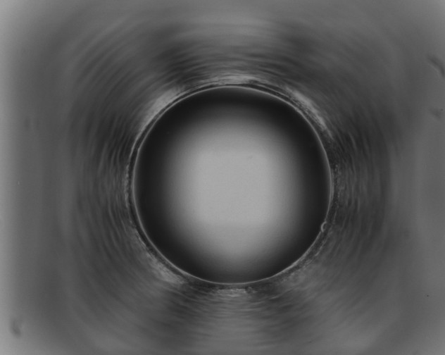 X0000091861186200709121324