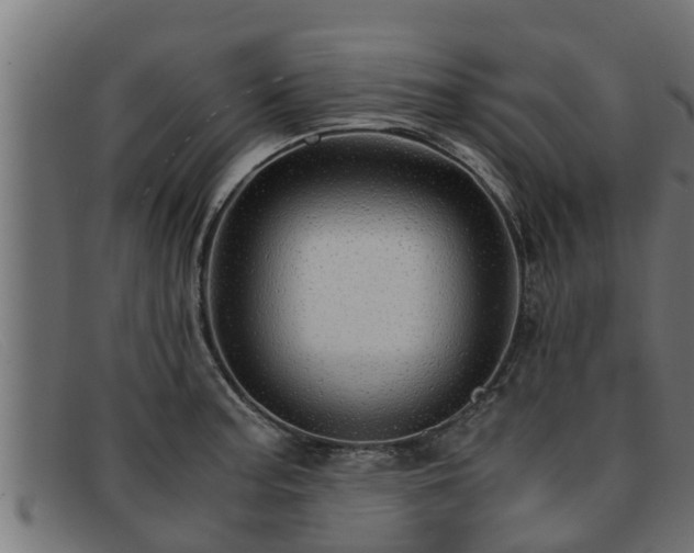 X0000091861187200709121324