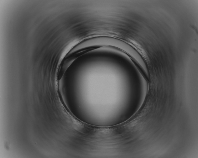 X0000091861188200709121324