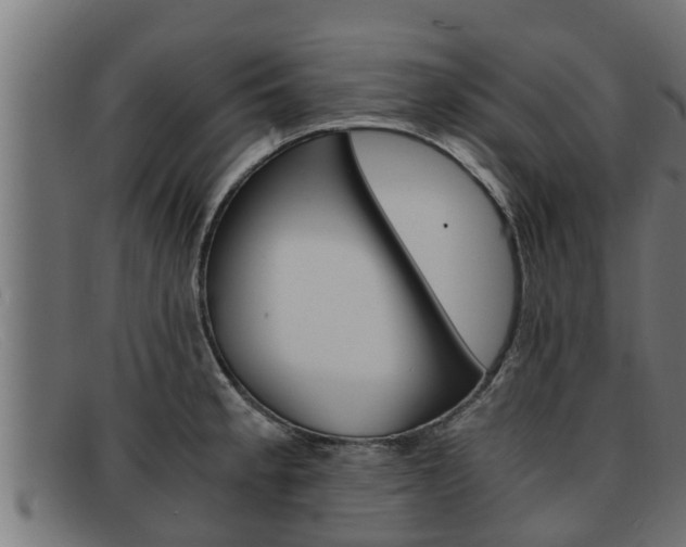 X0000091861189200709121324