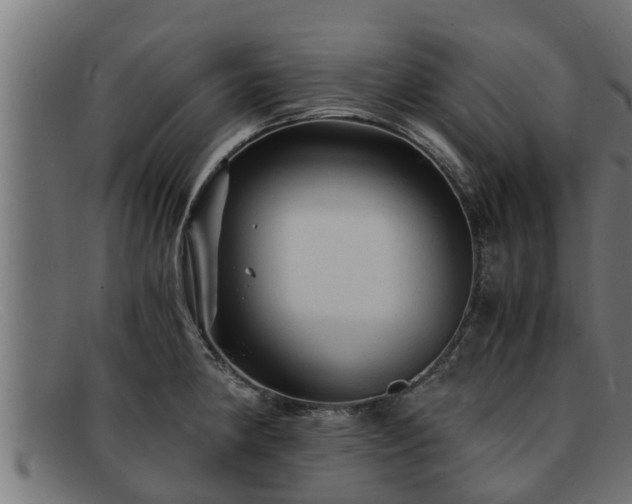 X0000091861190200709121324