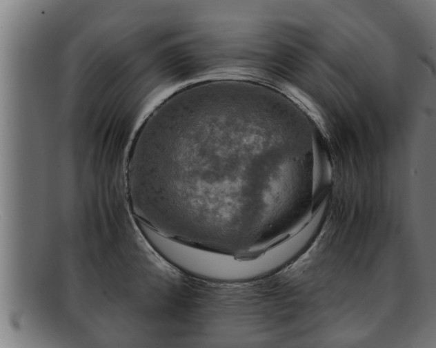 X0000091861192200709121324