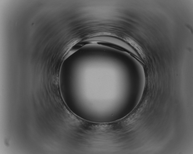 X0000091861193200709121324