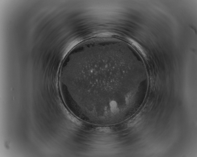 X0000091861194200709121324