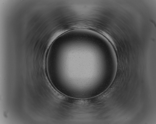 X0000091861195200709121324