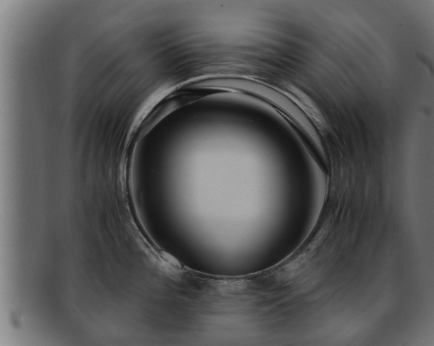 X0000091861196200709121324