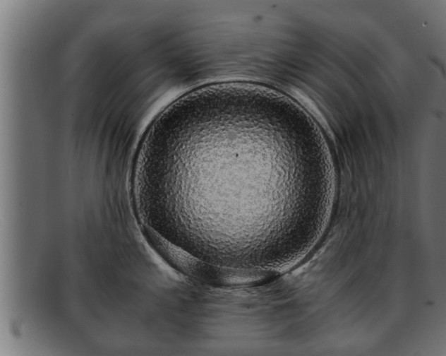 X0000091861197200709121324