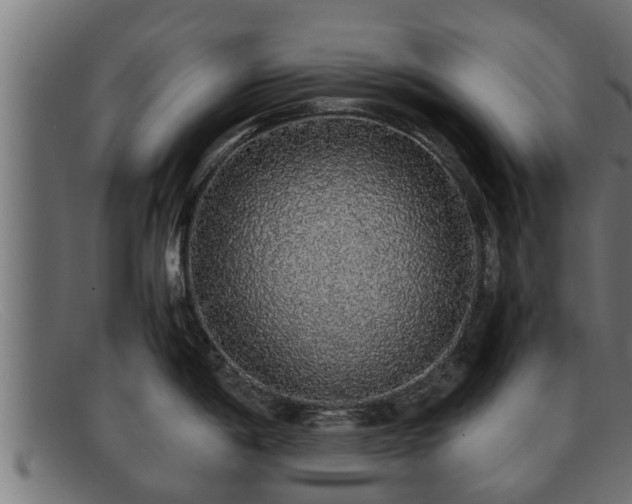 X0000091861198200709121324