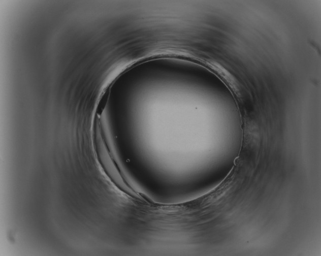 X0000091861199200709121324