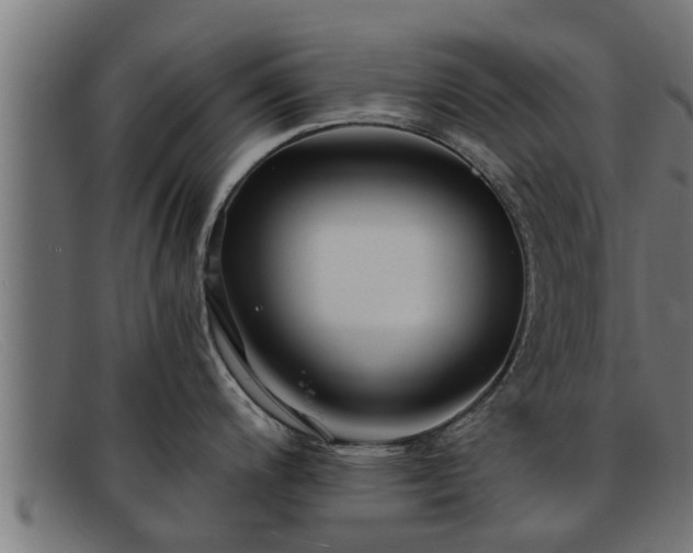 X0000091861200200709121324