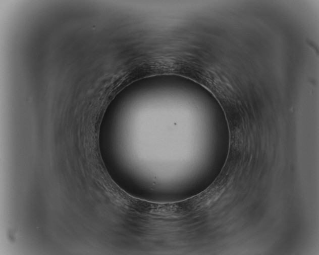 X0000091861201200709121323