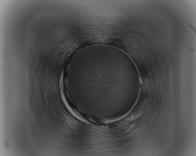 X0000091861202200709121323