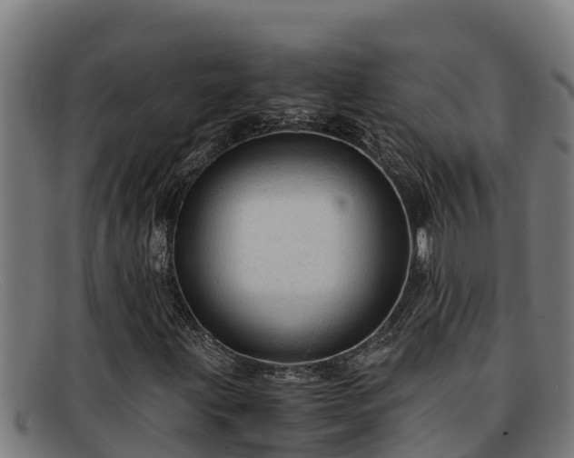 X0000091861203200709121323