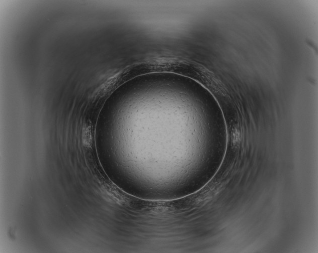 X0000091861204200709121323