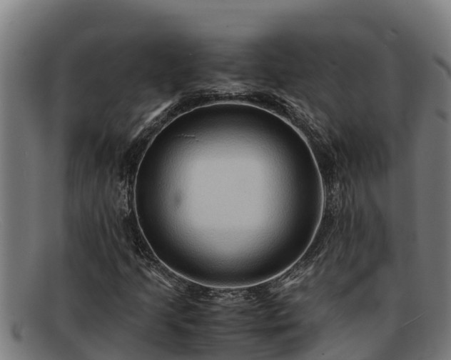 X0000091861205200709121323