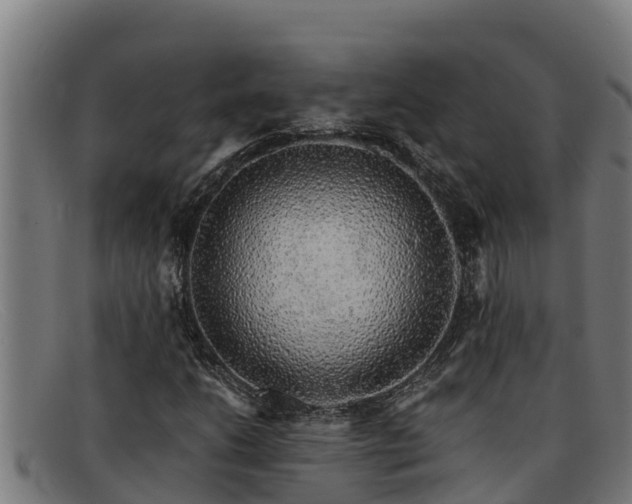 X0000091861206200709121323