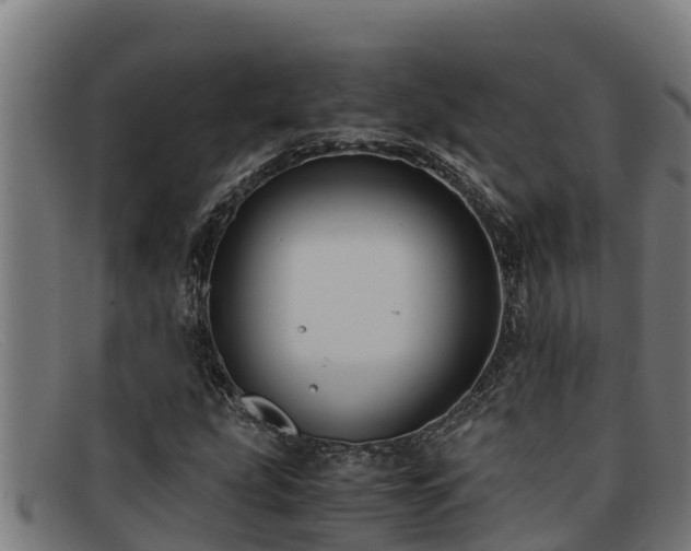 X0000091861207200709121323