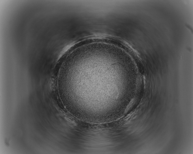 X0000091861208200709121323