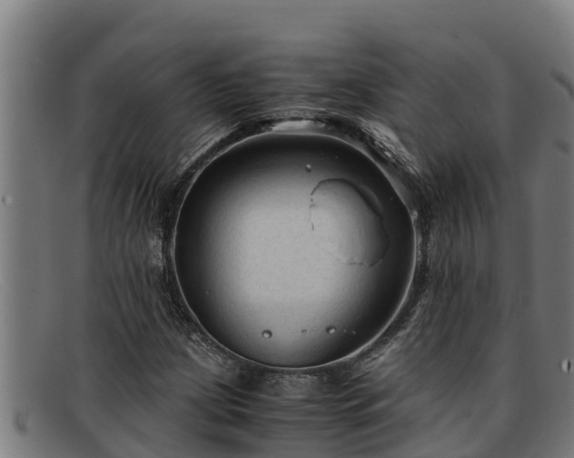 X0000091861209200709121323