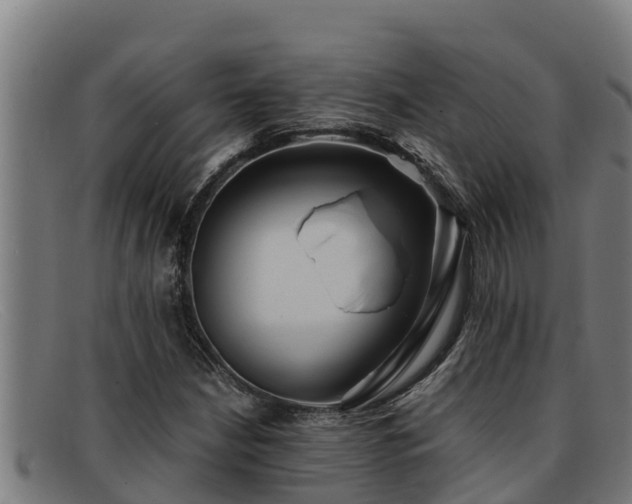 X0000091861210200709121323