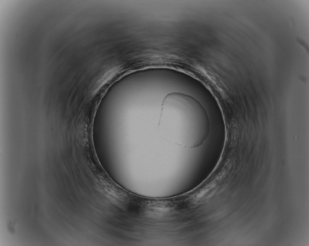 X0000091861211200709121323