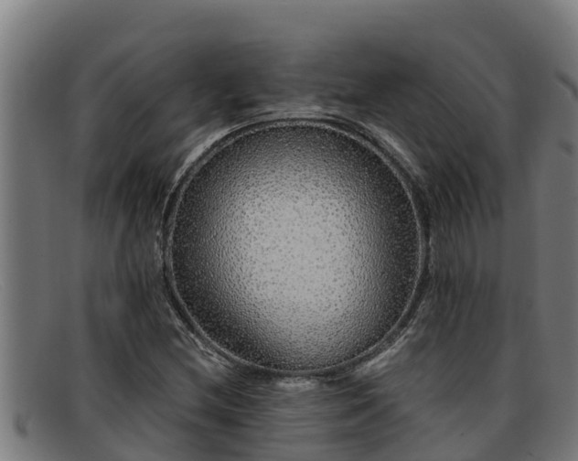 X0000091861212200709121323