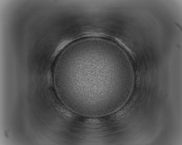 X0000091861215200709121323