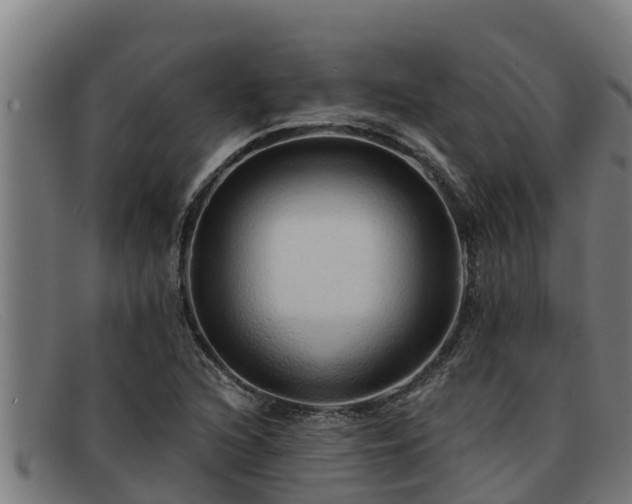 X0000091861216200709121323